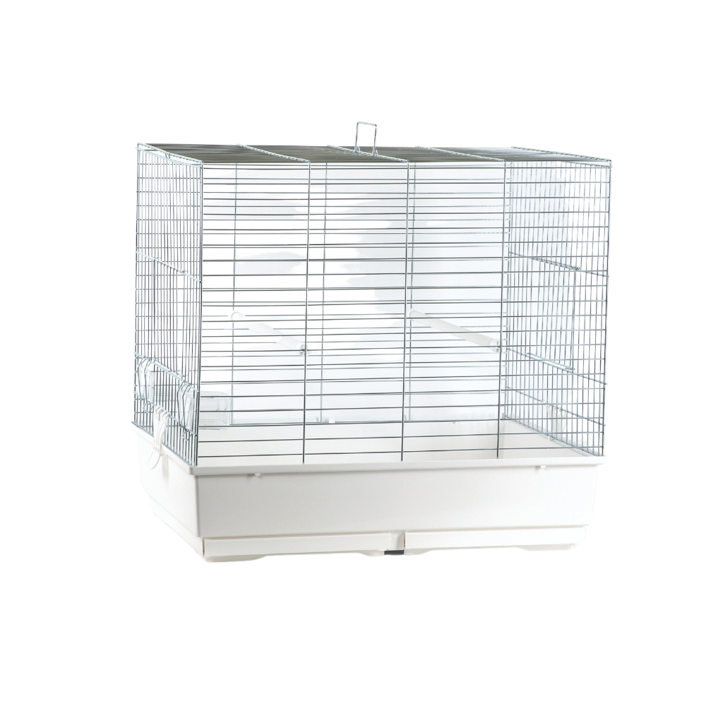 CLARABELLA ZINCATO FONDO BIANCO – Galvanized Bird Cage with White Base