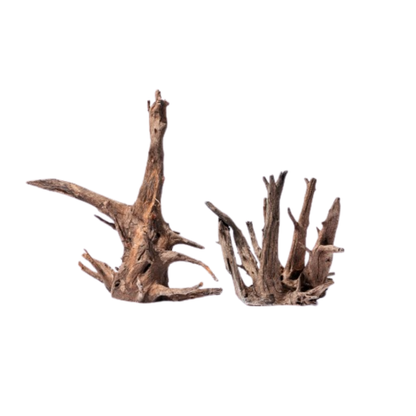 ZEN-PEBBLES – Natural Decorative Aquascaping Stones | Smooth River Pebbles for Aquariums, Terrariums &amp; Turtle Tanks