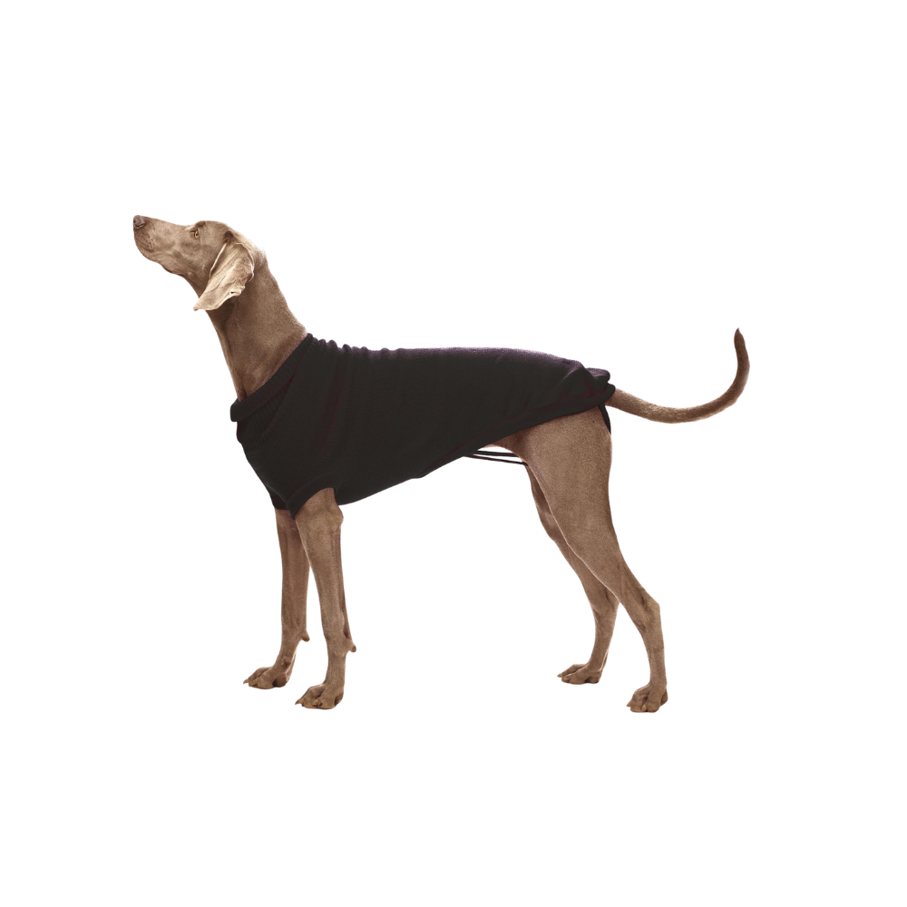 Turtleneck Black Stockholm Dog Sweater 60cm