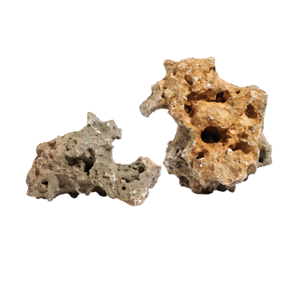 JUG HOLESTONE – Natural Aquarium & Terrarium Rock | Decorative Stone for Fish & Turtle Tanks