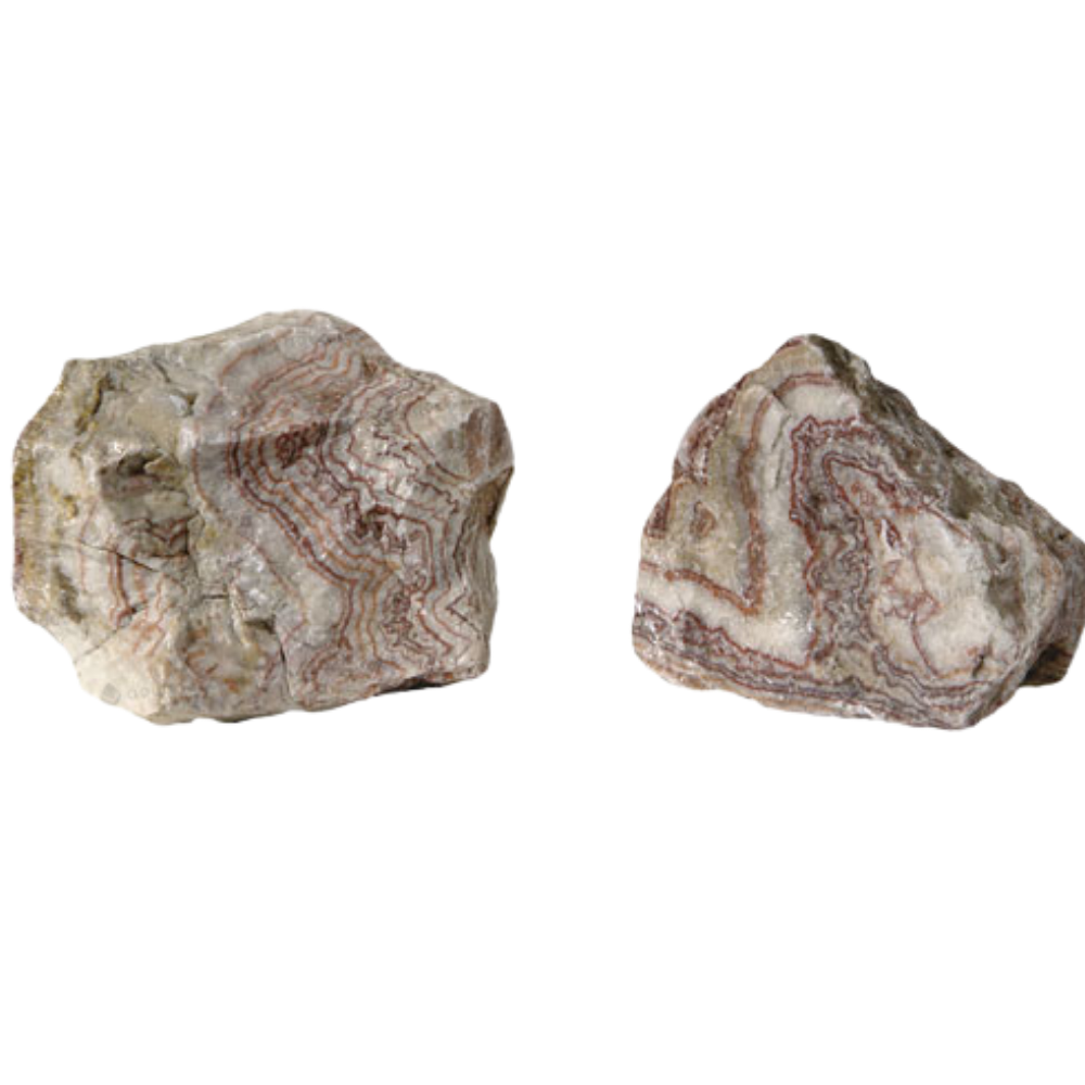 ZEBRA-STONE – Natural Decorative Aquarium Stone | Striking Aquascaping Rock for Fish & Turtle Tanks