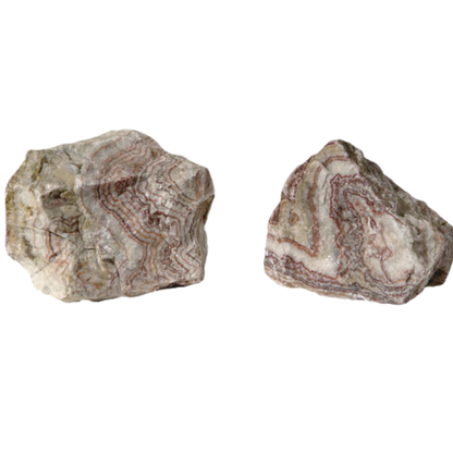 ZEBRA-STONE – Natural Decorative Aquarium Stone | Striking Aquascaping Rock for Fish & Turtle Tanks