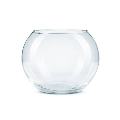 Domus Molinari Boccia Vetro Glass Bowl Aquarium for Aquascape or Shrimp