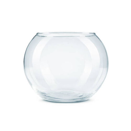 Domus Molinari Boccia Vetro Glass Bowl Aquarium for Aquascape or Shrimp
