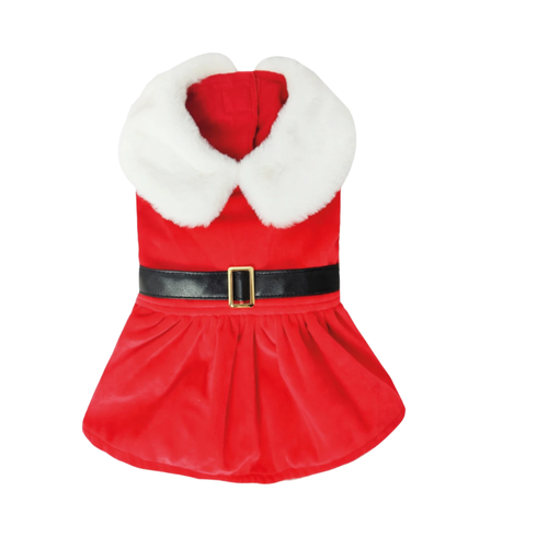 Christmas Santa Girl Dog Dress