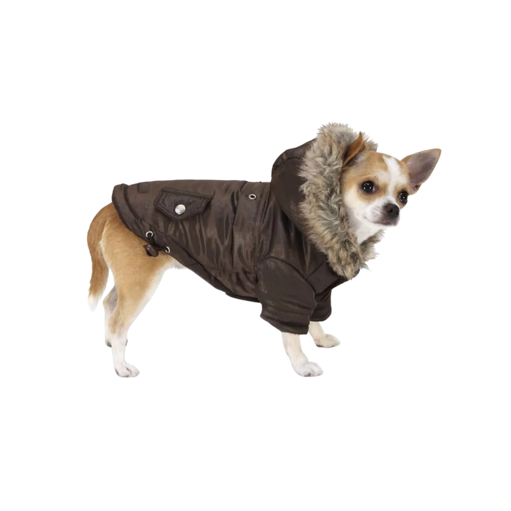 Padded Jacket Brownie for Dogs
