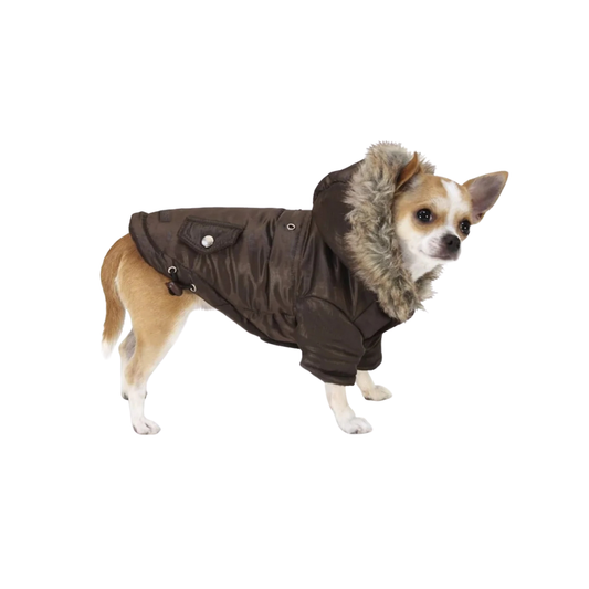 Padded Jacket Brownie for Dogs