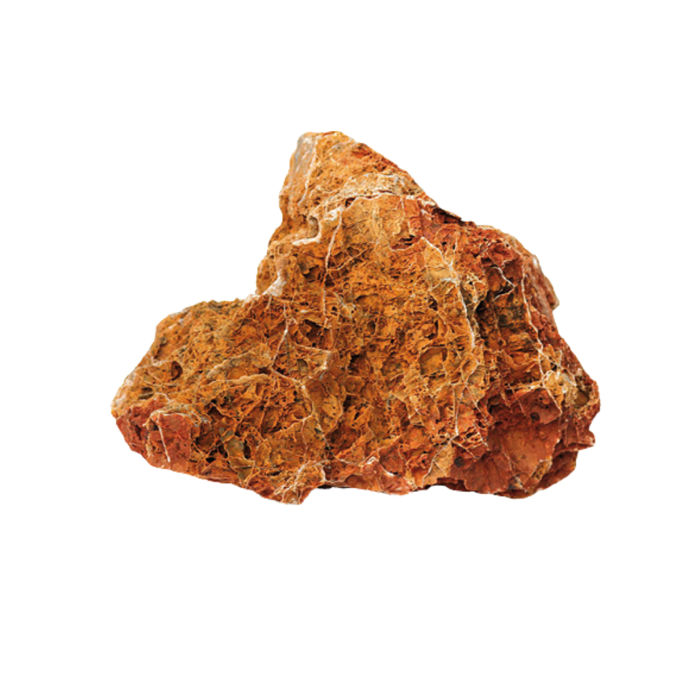 MAPLE LEAF ROCK – Natural Decorative Aquarium Stone | Aquascaping Rock for Fish & Turtle Tanks