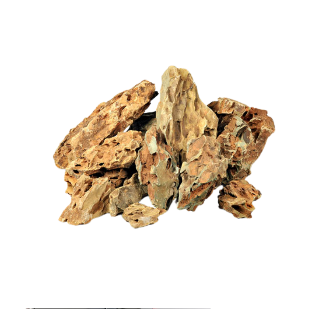 DRAGON STONE – Natural Aquascaping Rock | Premium Aquarium Decoration for Fish, Shrimp & Turtle Tanks