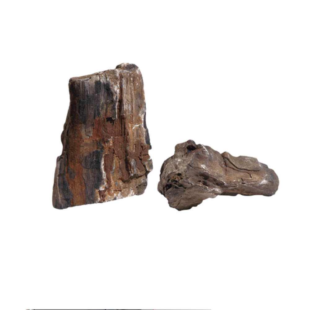 FOSSILIZED WOOD – Natural Decorative Aquarium Stone | Premium Aquascaping Rock for Fish & Turtle Tanks