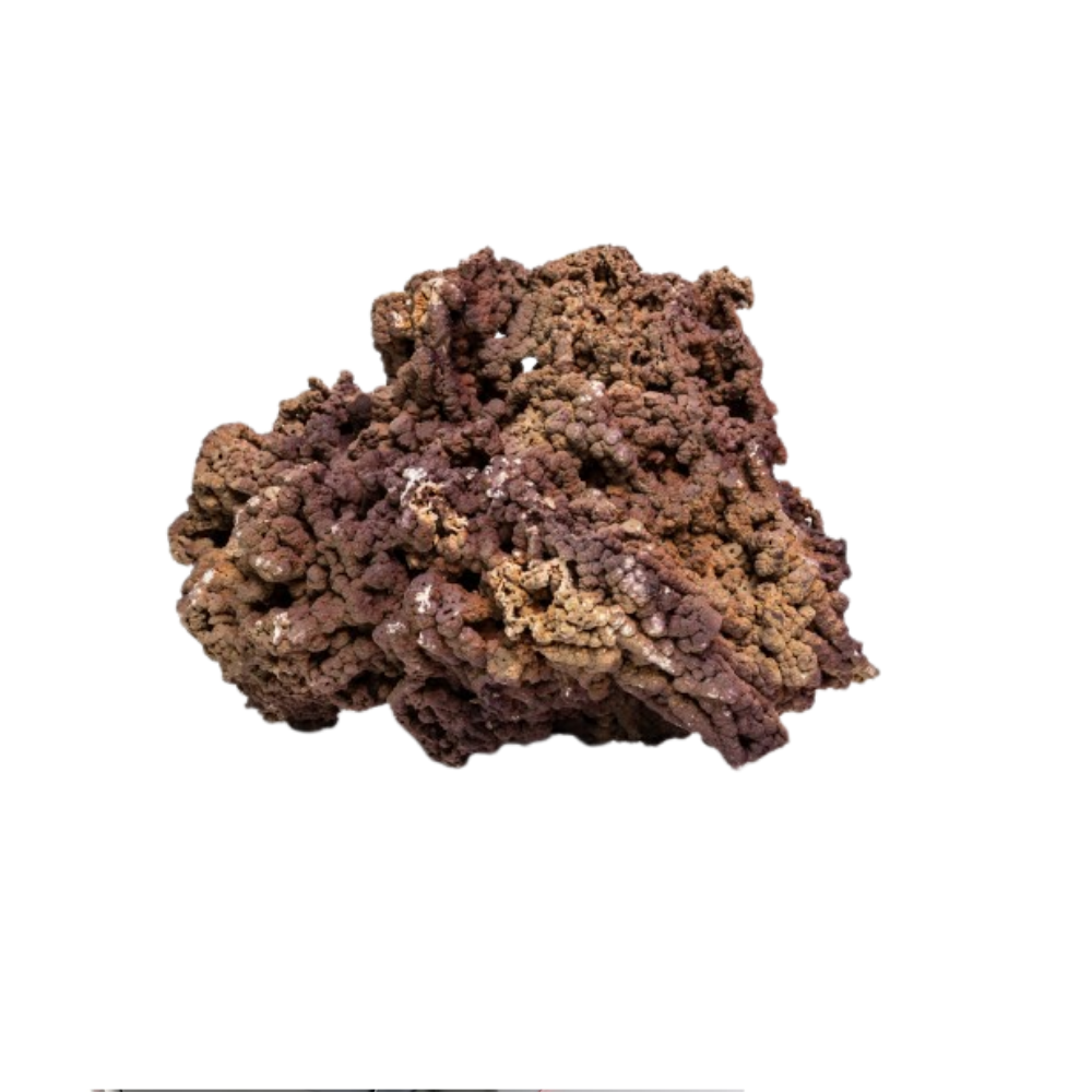 JURASSIC REEF ROCK 25KG – Natural Decorative Aquarium Stone (Bulk Pack) | Porous Reef-Style Rock for Aquascaping