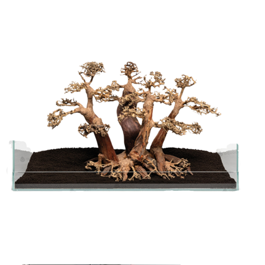 FOREST BONSAI M – Natural Aquarium Bonsai Tree Decoration | Handcrafted Driftwood for Aquascaping (40×20×25cm)