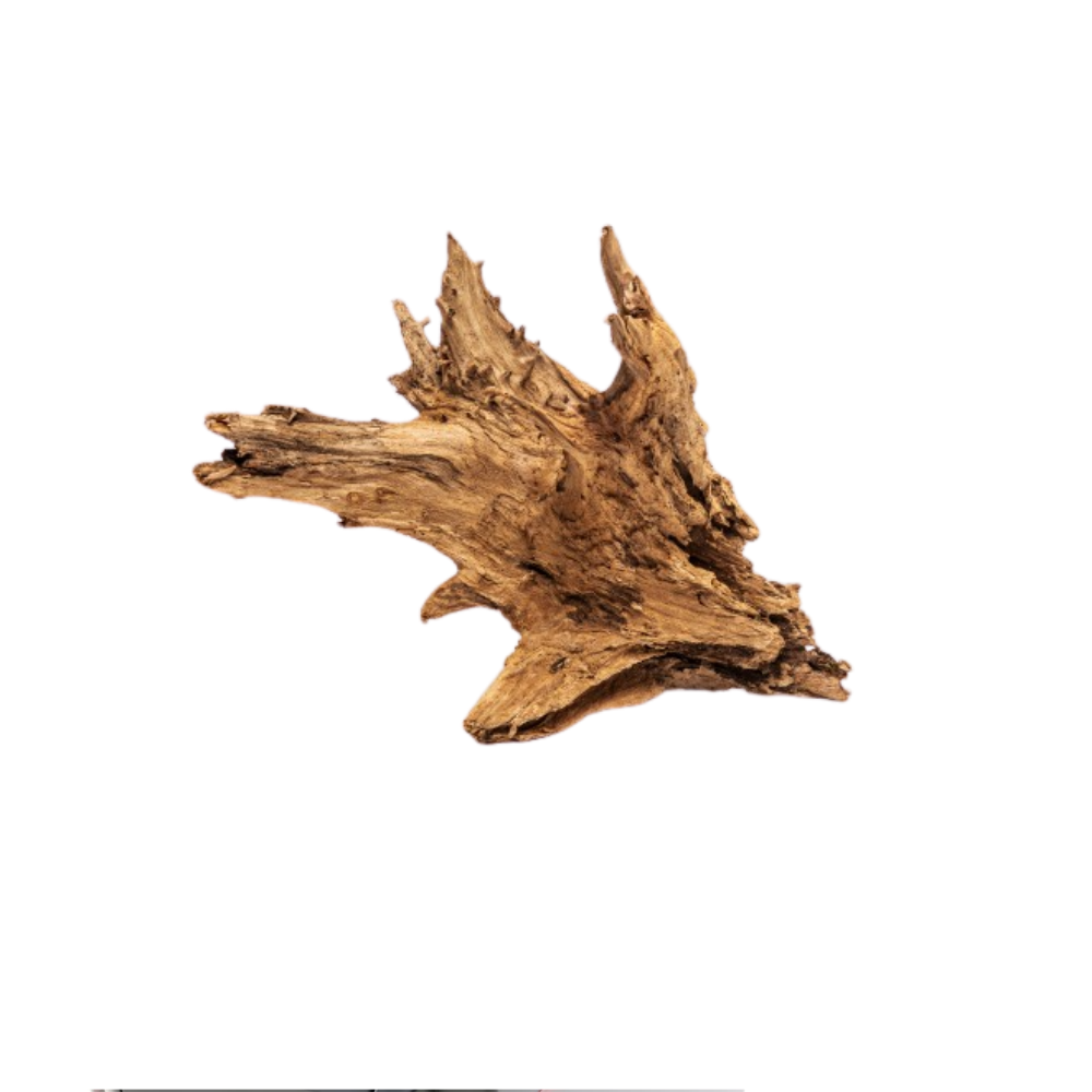 TAIGA ROOT / KG – Natural Driftwood Root for Aquariums | Decorative Aquascaping Wood for Fish & Turtle Tanks