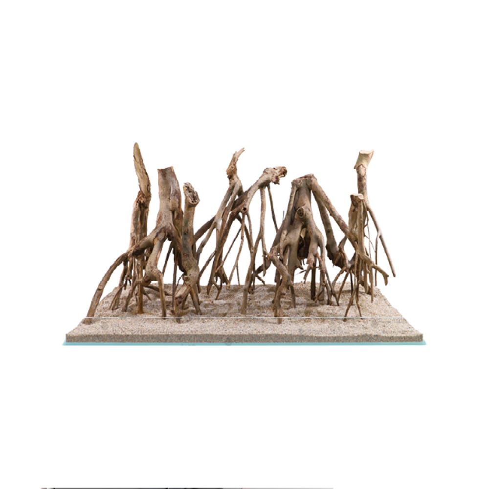 TALAWA WOOD – Natural Aquarium Driftwood | Premium Aquascaping Root for Aquariums & Terrariums (Sold per kg)