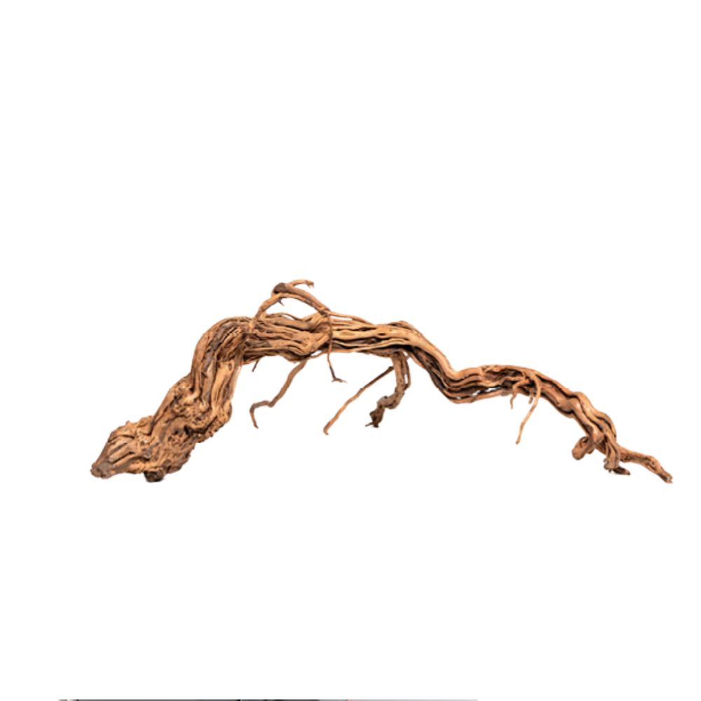 CURL WOOD – Natural Aquarium Driftwood | Decorative Twisted Roots for Aquascaping & Terrariums (Sold per kg)