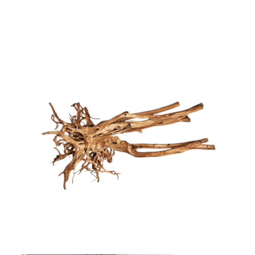 WOOD STUMPS – Natural Aquarium Driftwood Bases | Realistic Root & Trunk Pieces for Aquascaping (Sold per kg)