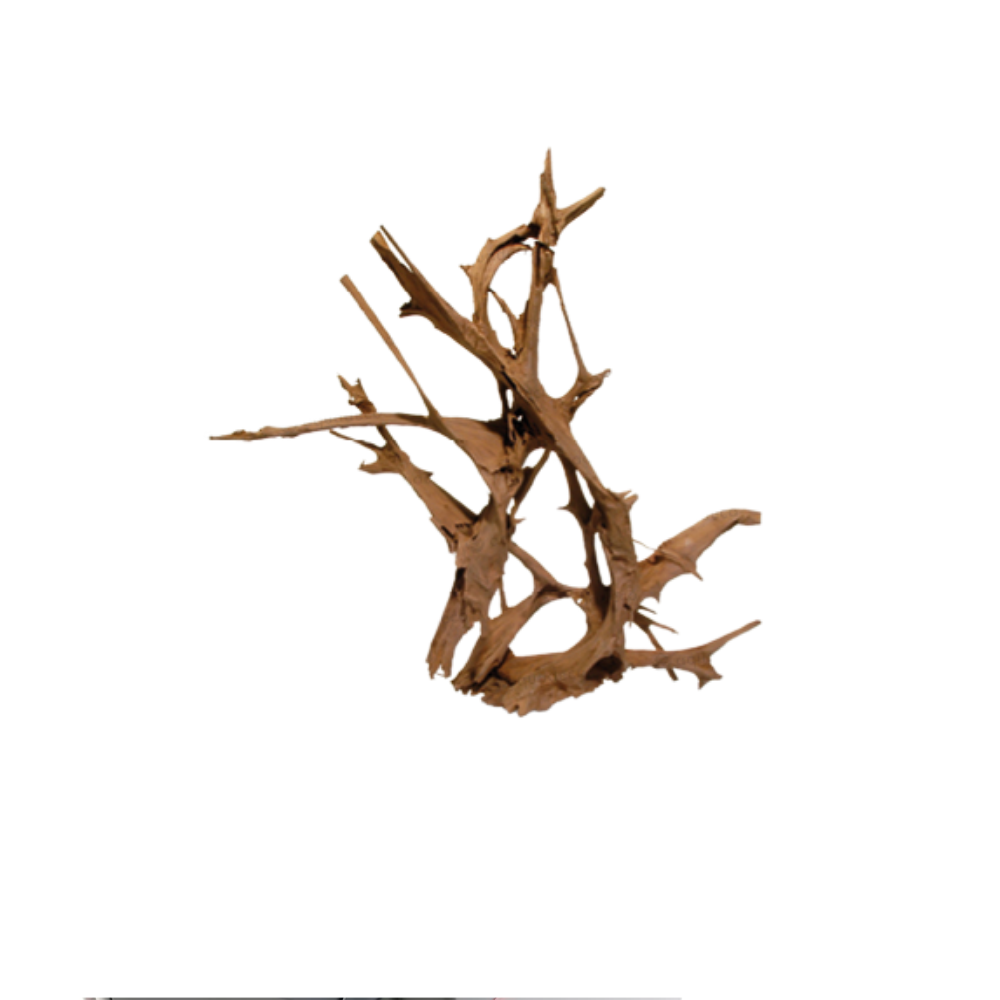MANGROVE XXL – Extra Large Natural Driftwood | Premium Aquarium & Terrarium Root Wood (up to 160cm)