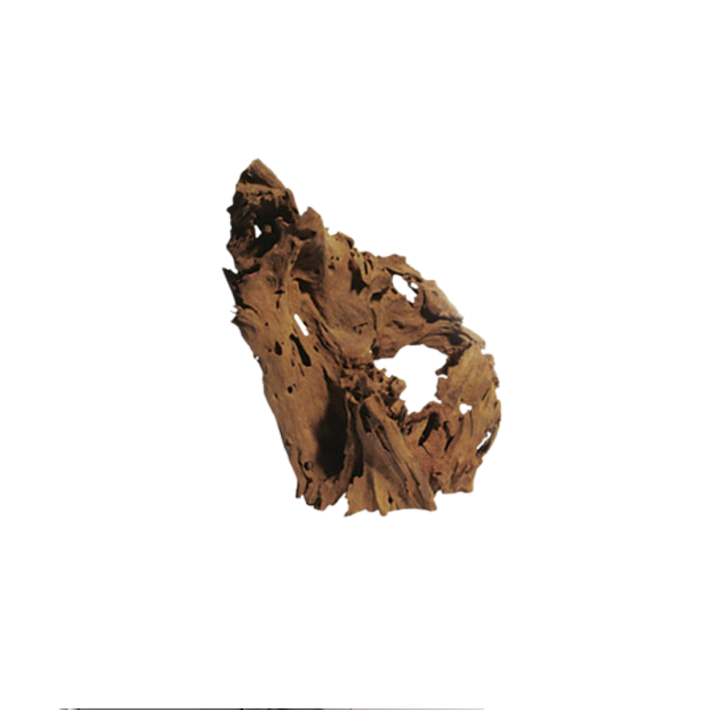 MANGROVE L – Natural Driftwood Root Decoration | Aquarium & Terrarium Wood (30–60cm)