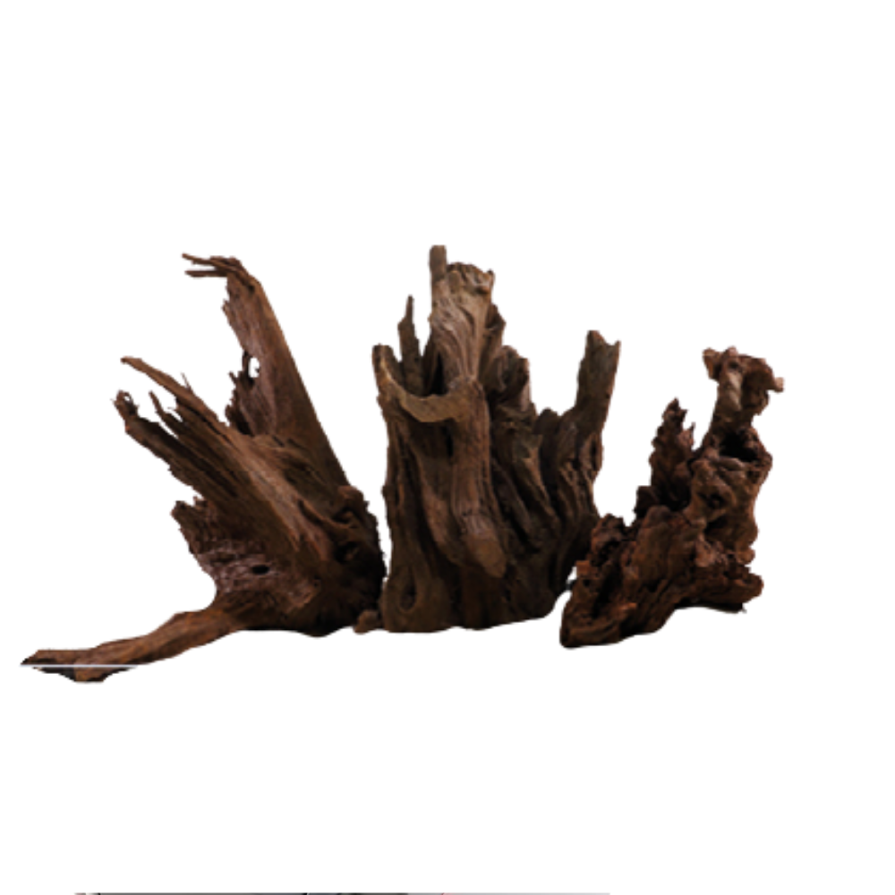 MANGROVE L – Natural Driftwood Root Decoration | Aquarium & Terrarium Wood (30–60cm)