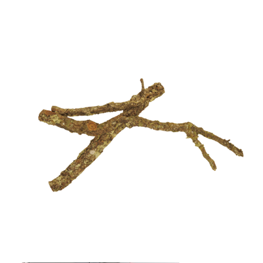 TRONCHOS – Natural Driftwood Pieces | Decorative Aquarium Wood (Sold per kg)