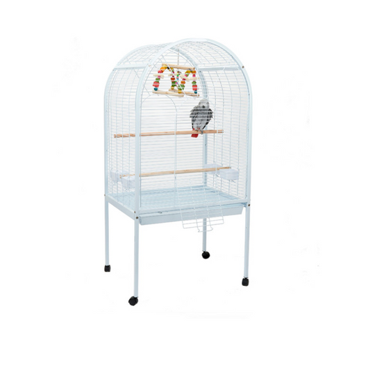 Parrot cage