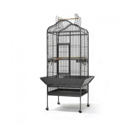 Black bird cage on a white background