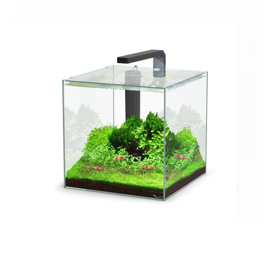 Aquarium KUBUS 54ltr