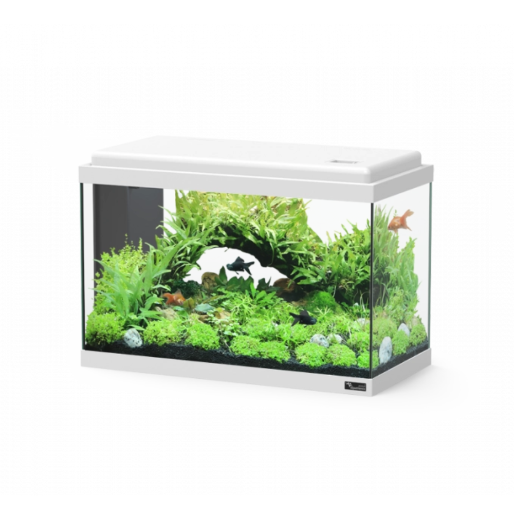 Aquarium Advance 50 White