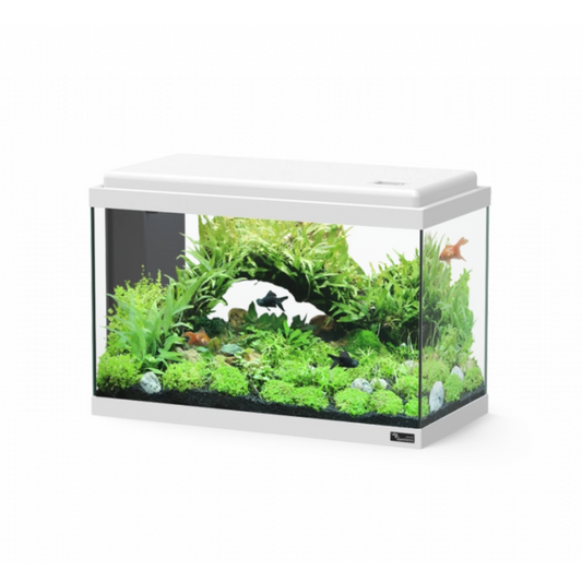 Aquarium Advance 50 White