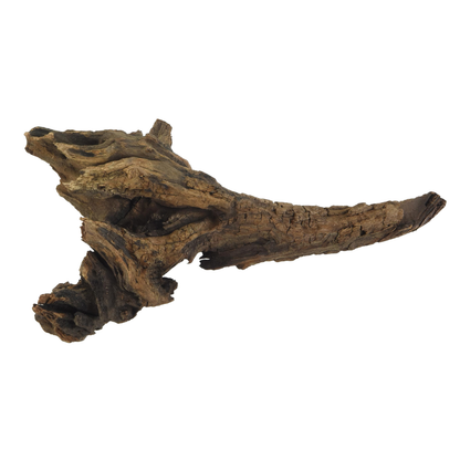 Amtra Mystic Wood – Natural Aquarium & Terrarium Decoration (25–30 cm)