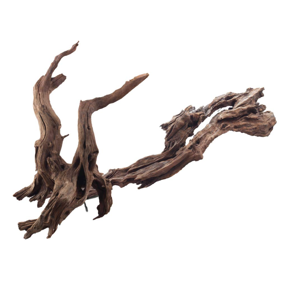 Amtra Ikabena Wood – Natural Aquarium & Terrarium Decoration (20–30 cm)