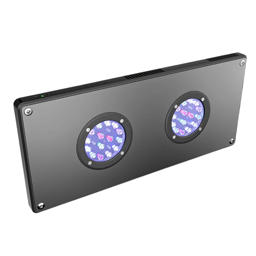 Hydor Aqamai Reef Medium