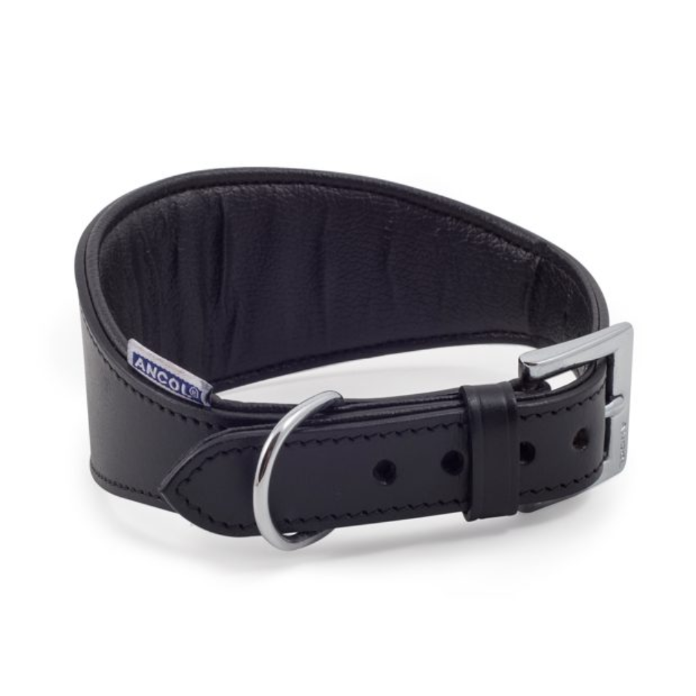 Ancol Greyhound Padded Leather Collar Black 34-43cm