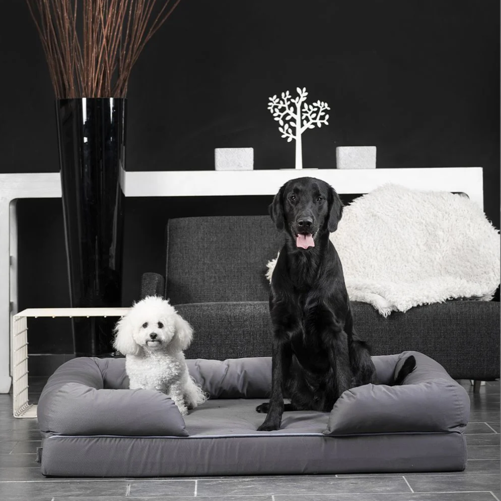 Croci Limitless Memory Foam Dog Bed | Orthopedic Pet Bed
