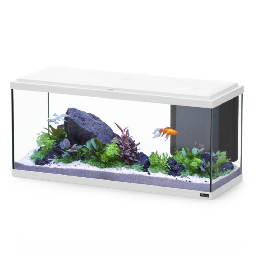 Aquatlantis Explorer Amsterdam – 85 L Complete Aquarium Kit (80×30×37 cm)