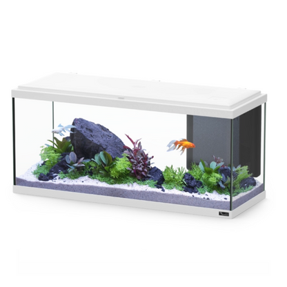 Aquatlantis Explorer Amsterdam – 85 L Complete Aquarium Kit (80×30×37 cm)