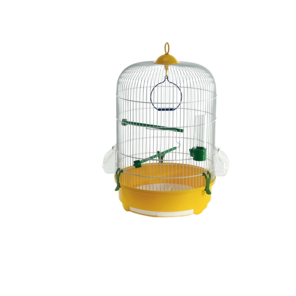 CAMELIA BIANCA – White Bird Cage with Coloured Base | Stylish Home for Canaries, Finches & Parakeets