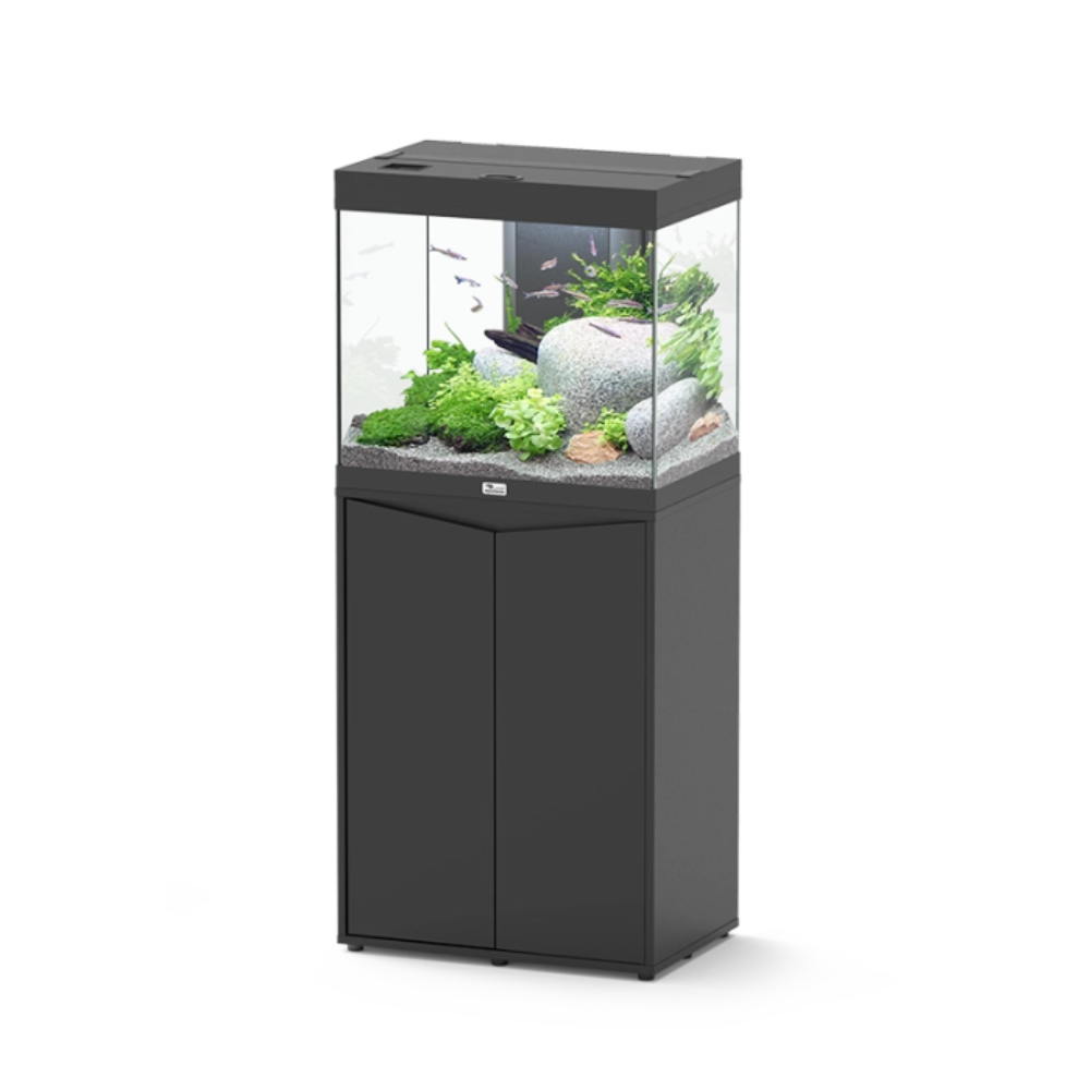 Aquatlantis Splendid 60×40 Aquarium (3 Colour Options)