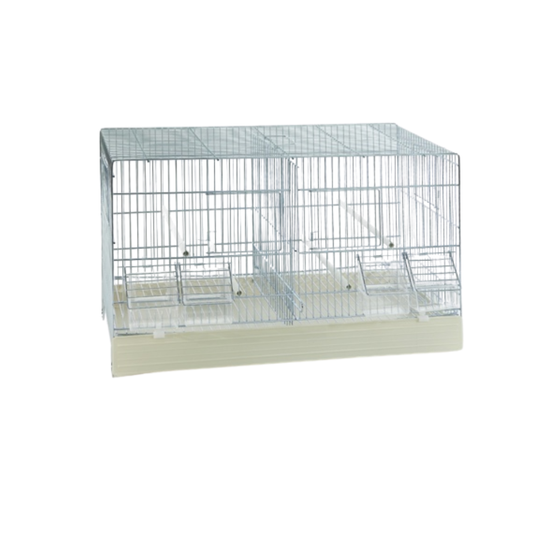 GABBIA ZINCATA with White Base – Without Grid | Galvanized Bird Cage for Canaries, Finches & Small Birds
