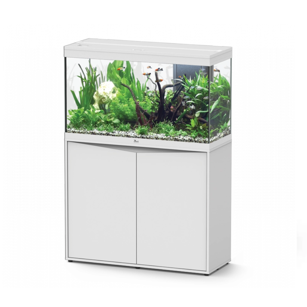 Aquarium Splendid 100x40 (6 Colours Available)