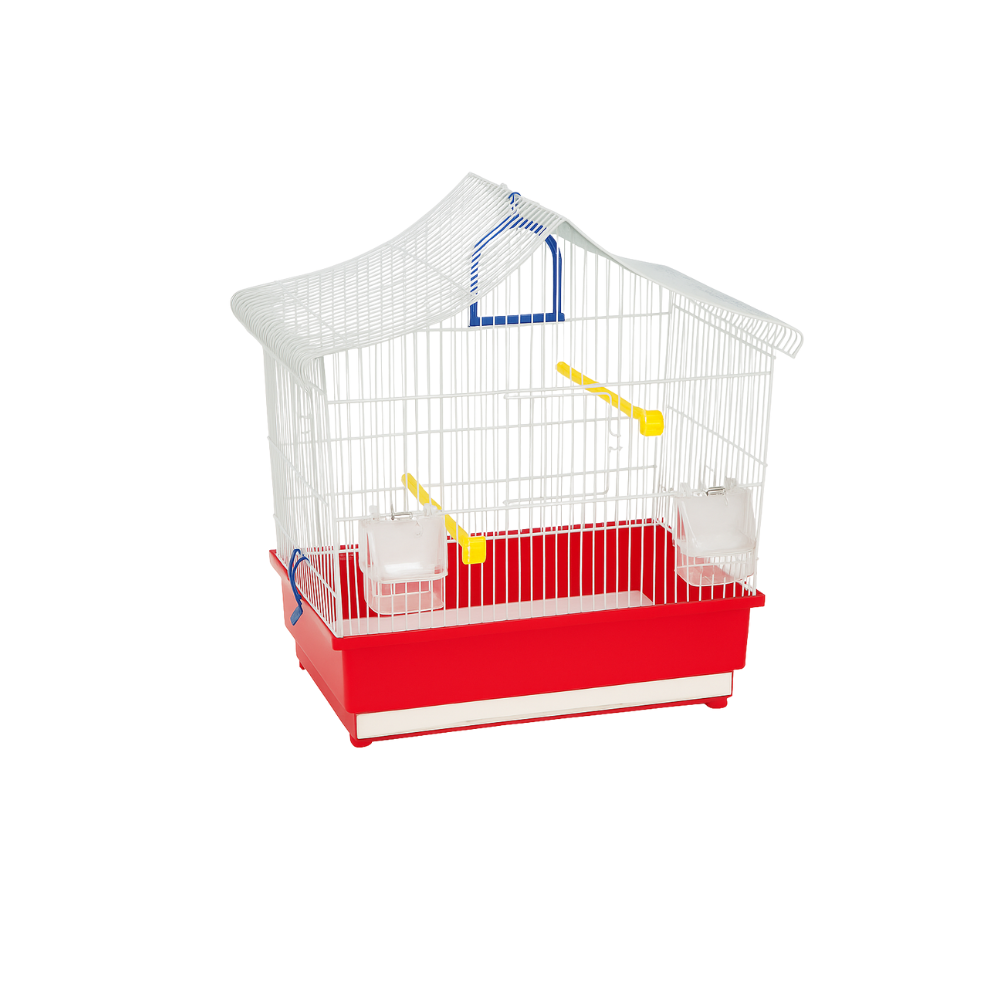 ALBA BIANCA – Bird Cage with Coloured Base | Elegant White Cage with Colourful Bottom