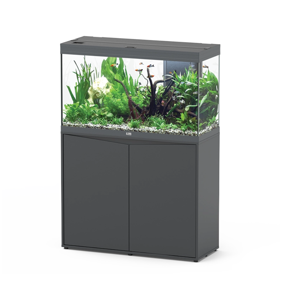 Aquarium Splendid 100x40 (6 Colours Available)