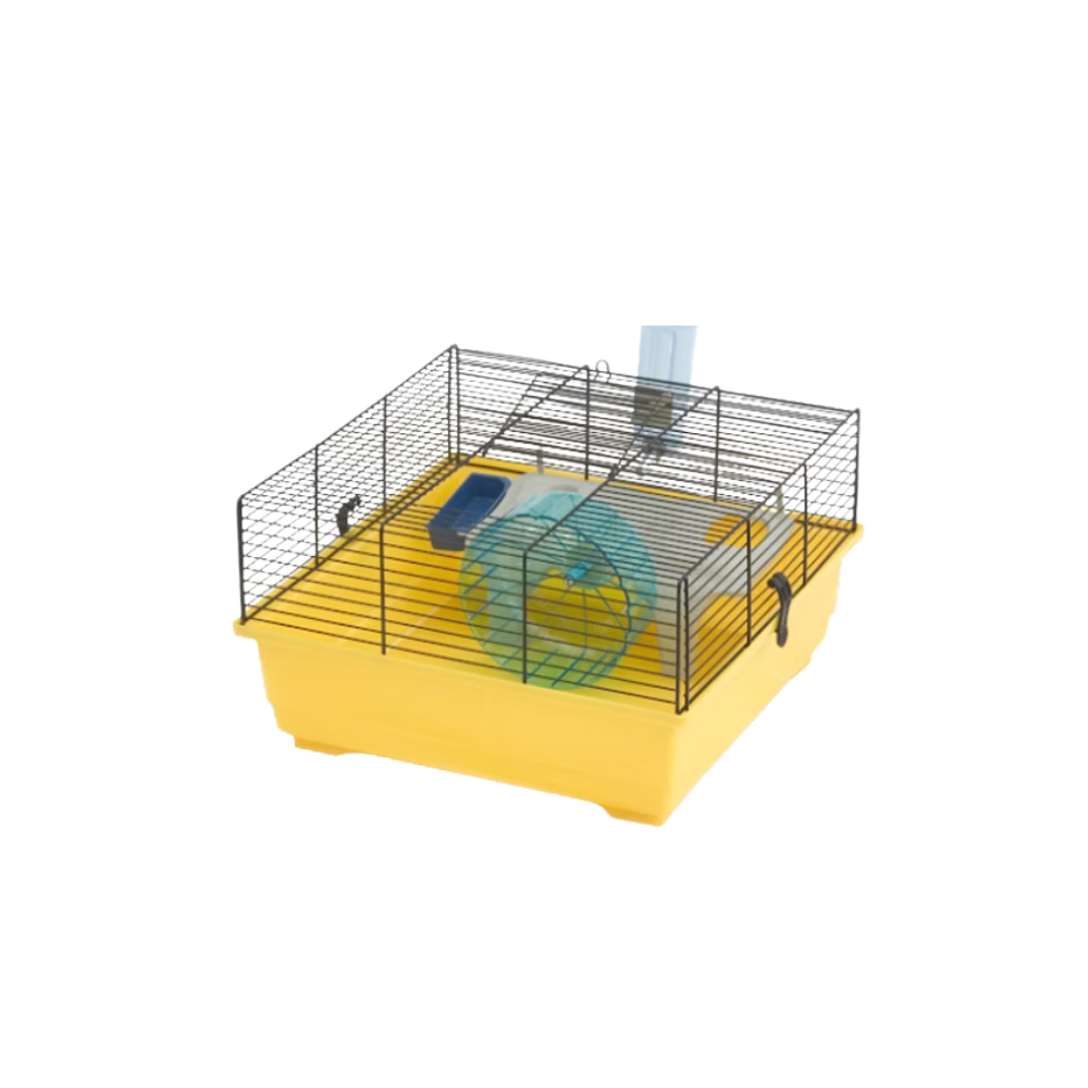 Marchioro Yuri 42 Q Bird Cage – Giallo & Nero Finish