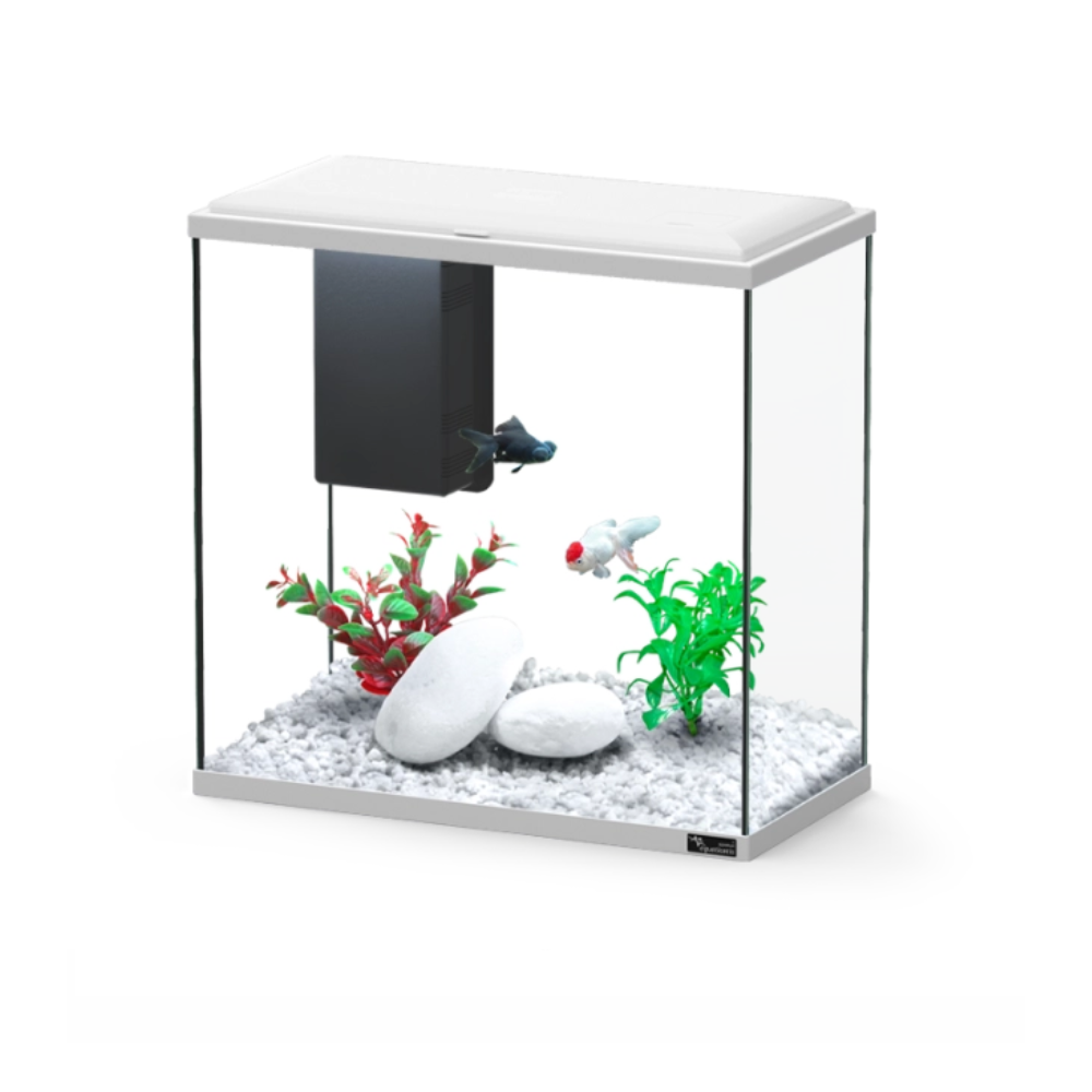 Aquatlantis Explorer Dublin Aquarium – 34 L Starter Kit