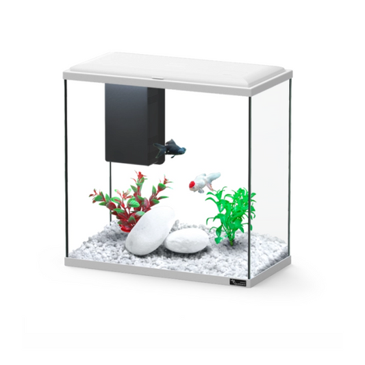 Aquatlantis Explorer Dublin Aquarium – 34 L Starter Kit