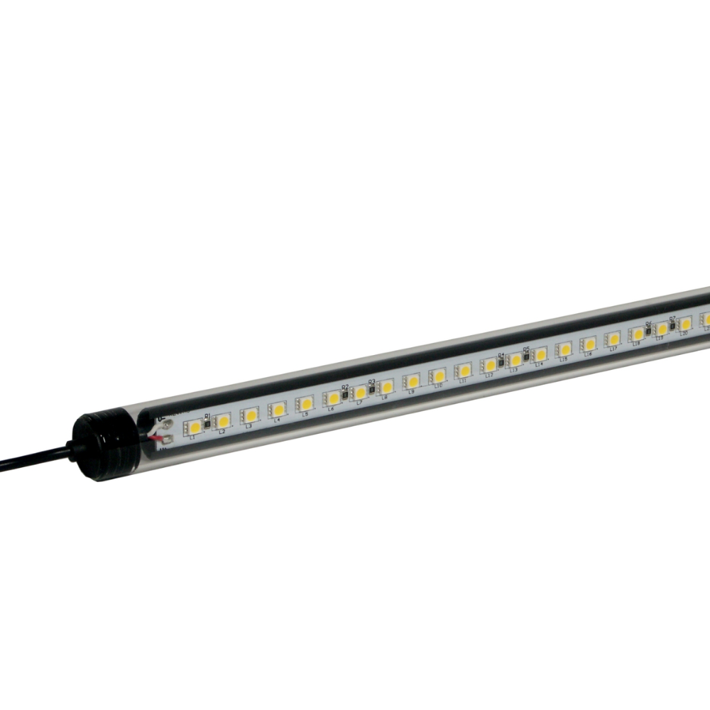 LED Cool Daylight