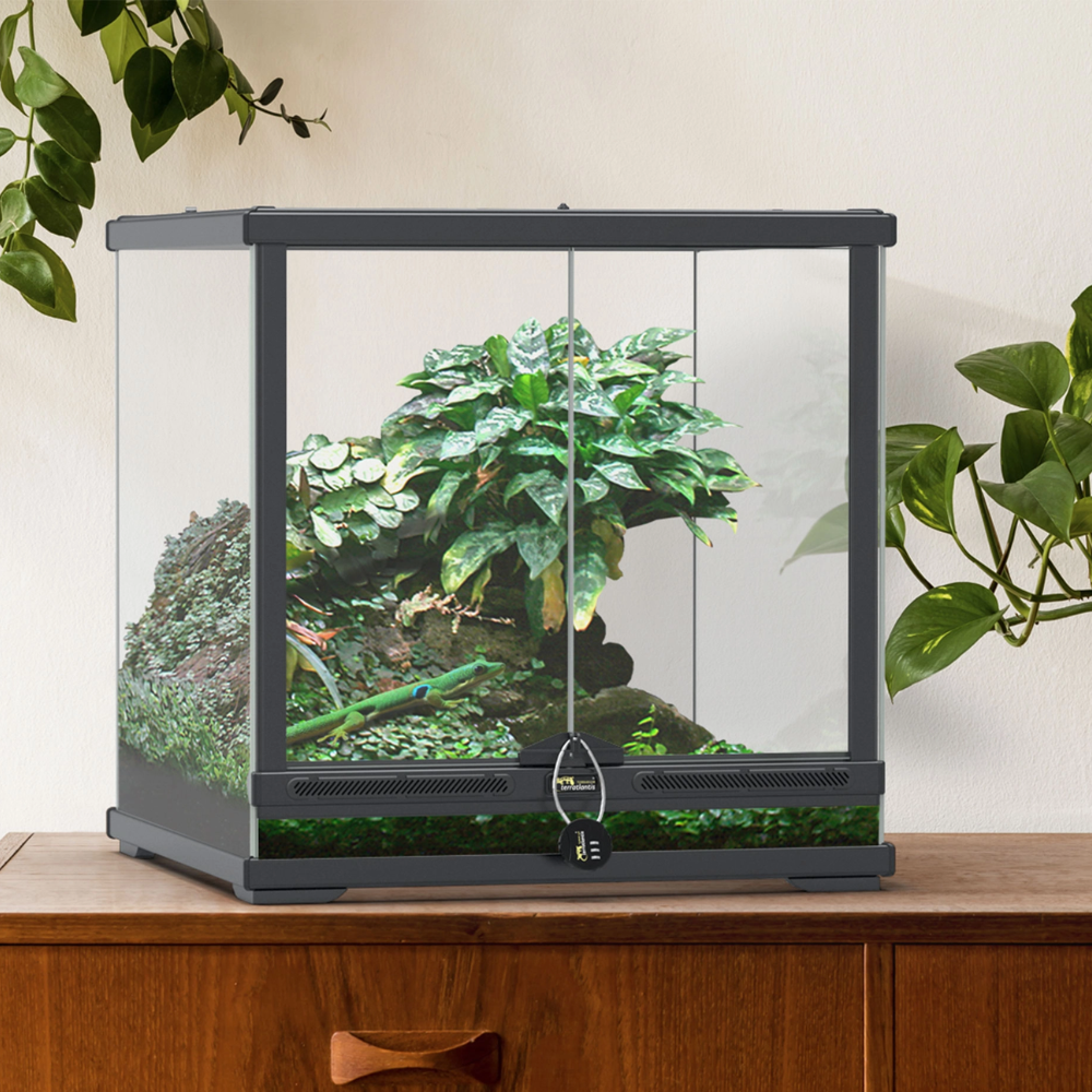 Terrarium Smartline 45x45x60
