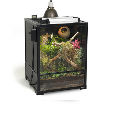 Habistat Terrariums 60cm High