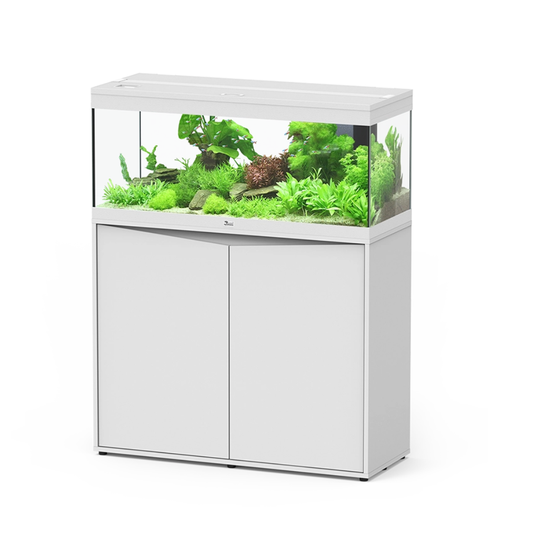 Aquatlantis Prestige 100 Aquarium – 3 Colour Options