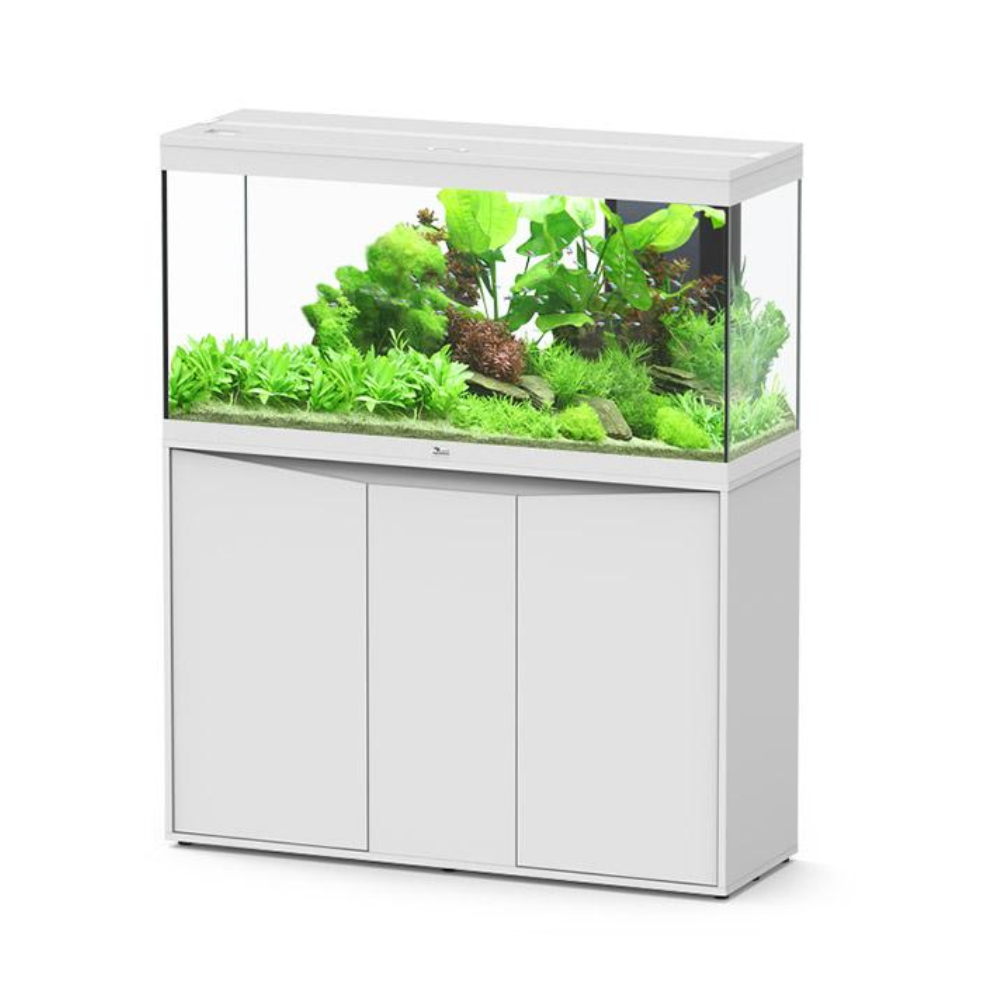 Aquarium with green plants inside a white cabinet on a white background